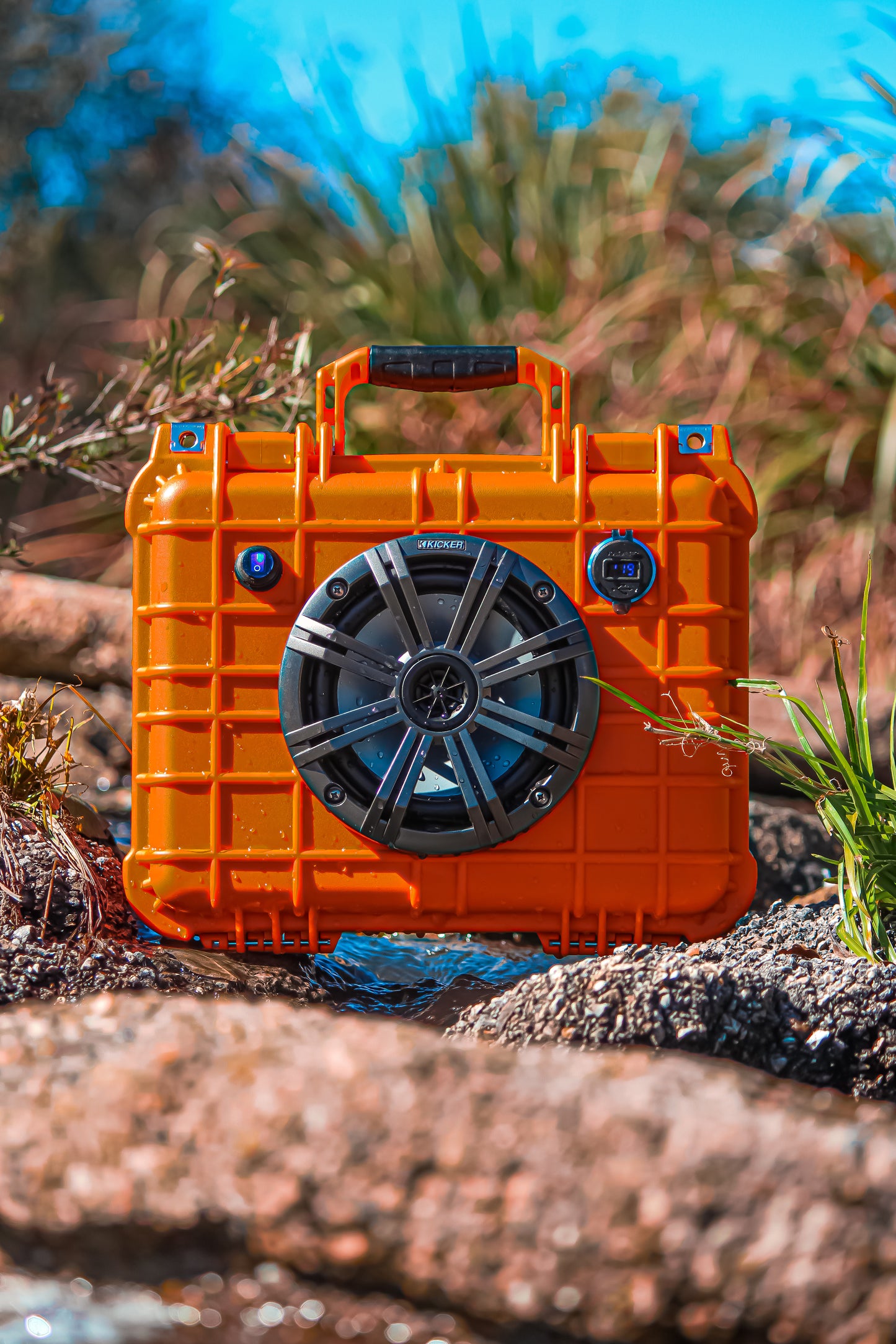 ORANGE WATERBUG