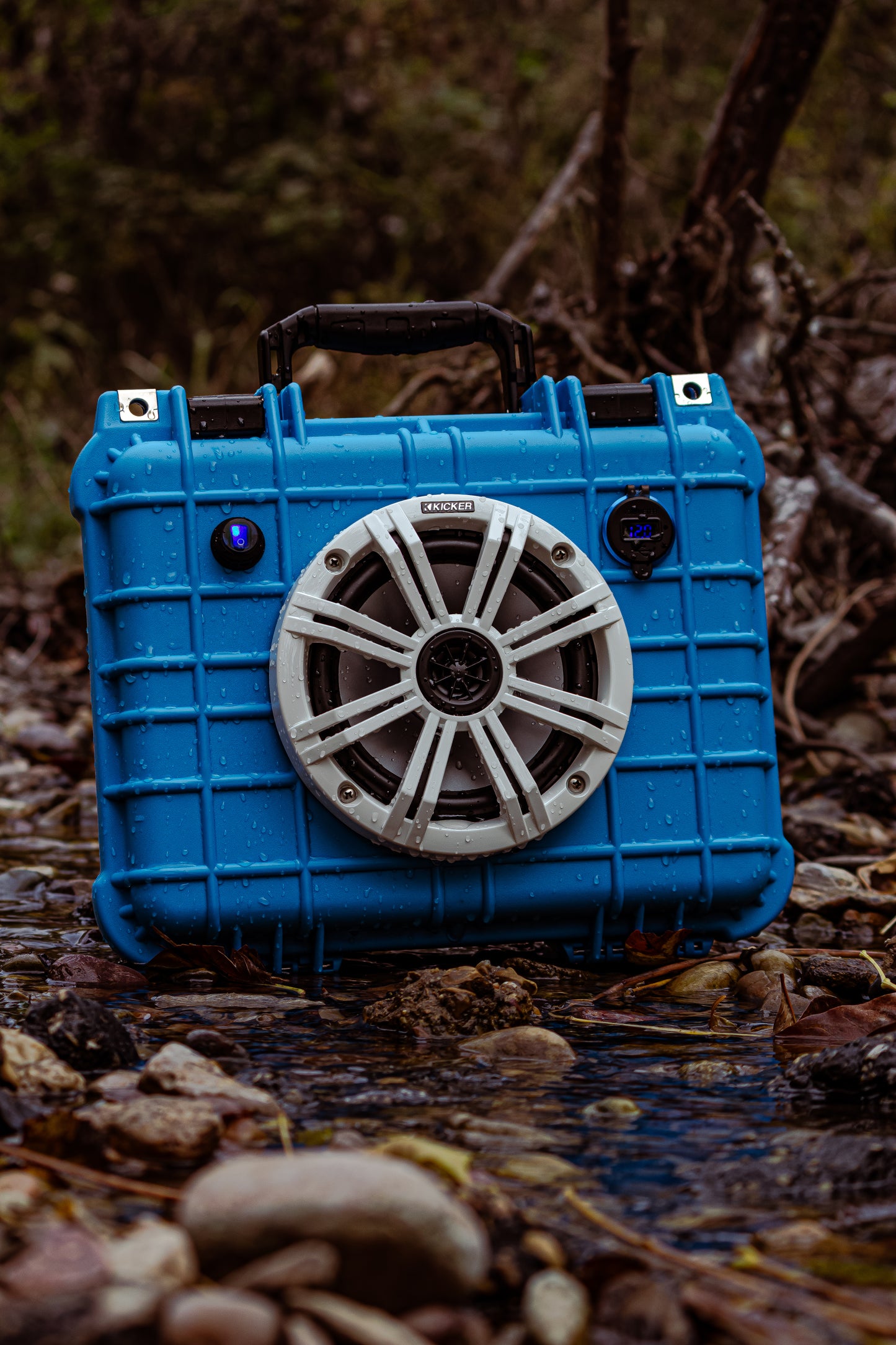TEAL WATERBUG