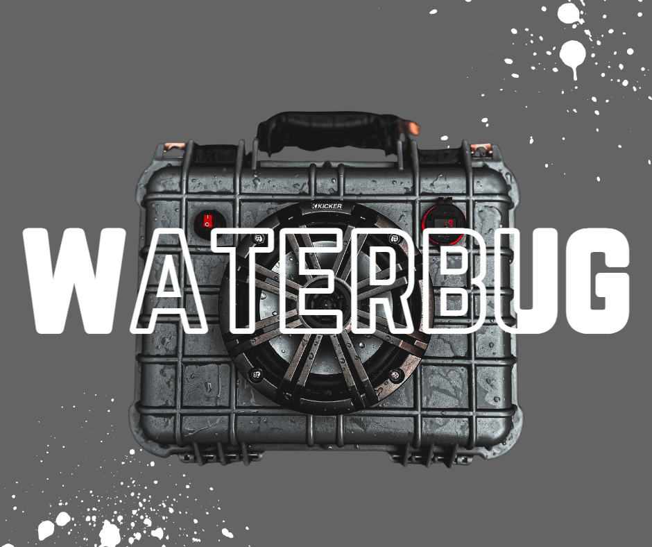 GRAY WATERBUG