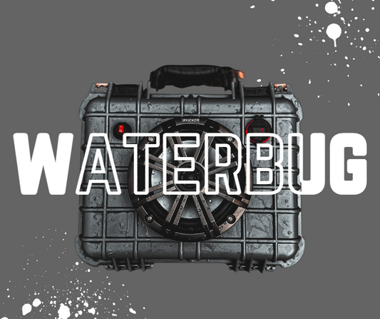 GRAY WATERBUG