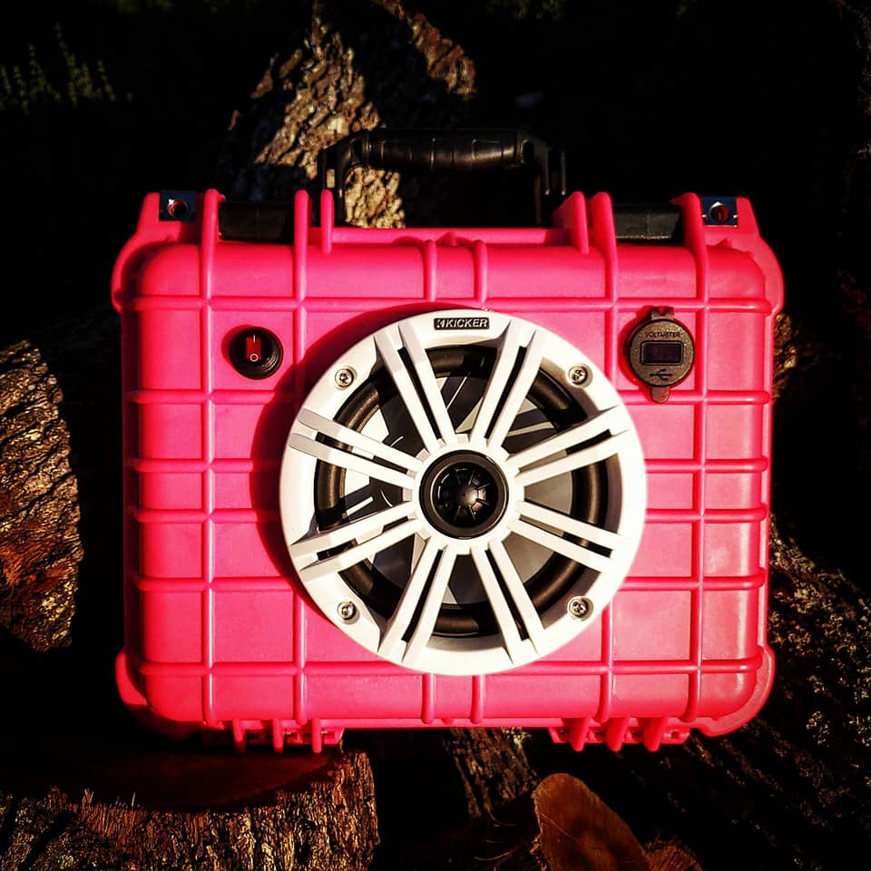 PINK WATERBUG - RocKen Radios