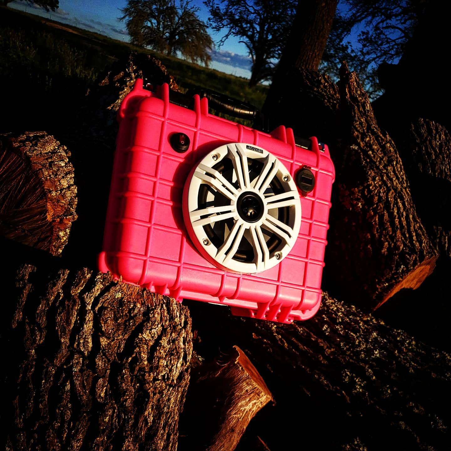 PINK WATERBUG - RocKen Radios