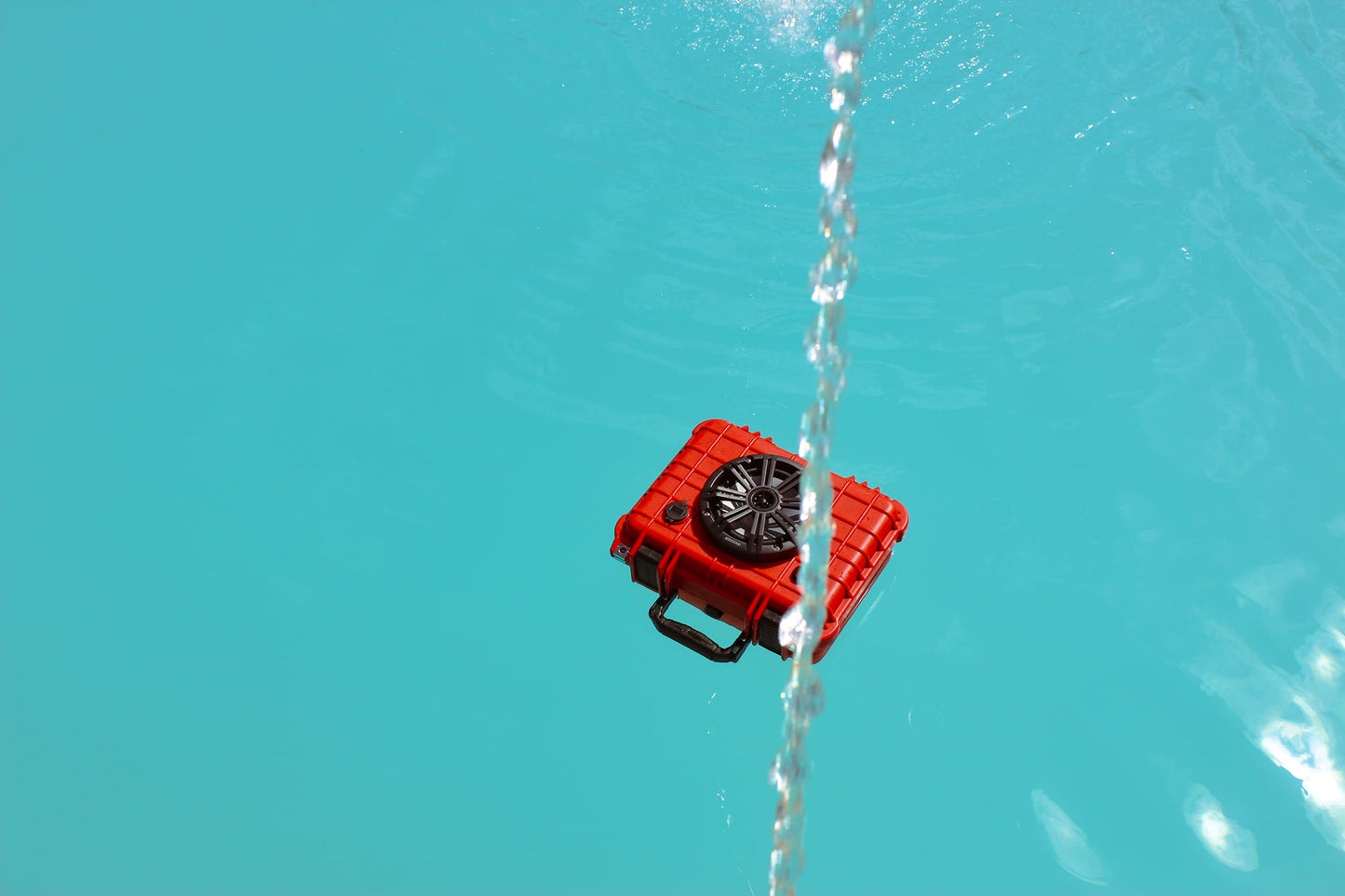 RED WATERBUG